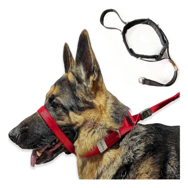 Red Soft Dog Head Collar Stops Pulling and Provides Relief for Both Dogs and Walkers