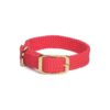 Red Solid Double Braid Dog Collar with Brass Hardware for Medium to Large Breed Dogs