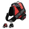 Red Solid Nylon Polyester Emotional Support Dog Veterinary Vest with Adjustable Straps