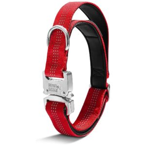 Red Tactical Dog Collar with Heavy Duty Metal Buckle for Medium to Large Breeds