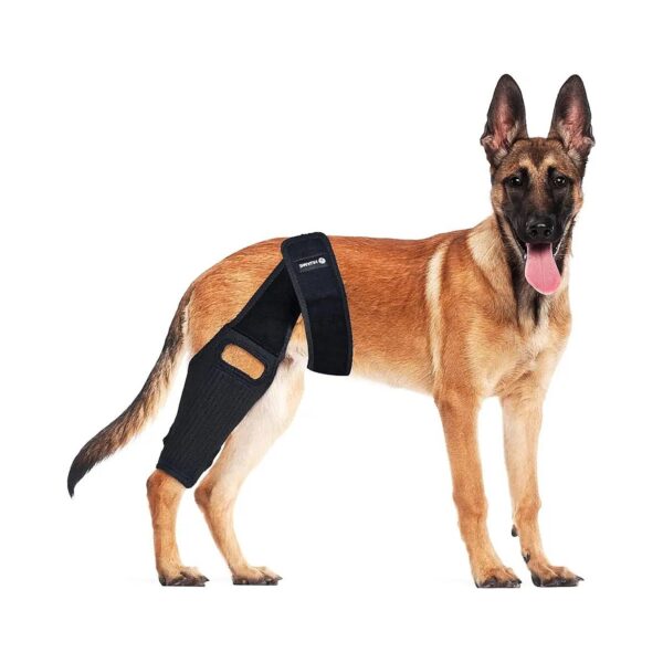 Reduce Knee Pain and Inflammation with Canine Knee Cap Support and Side Stabilizers