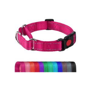 Reflective Adjustable Nylon Martingale Dog Collar for Safe and Controllable Walking