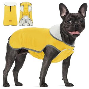 Reflective Dog Coat with Waterproof Fabric and Adjustable Neck