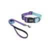 Reflective Dog Collar Leash Combo for Off-Leash Walking and Hiking