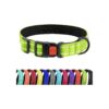 Reflective Dog Collar for Any Breed from Small to Large with Locking Quick Release Buckle