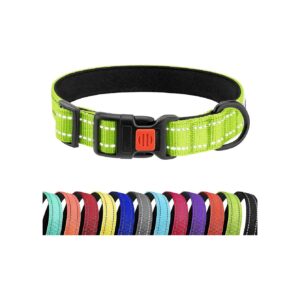 Reflective Dog Collar for Outdoor Activities with Nylon Material and Quick Release Buckle