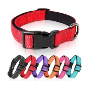 Reflective Dog Collar for Small Medium Large Dogs with Neoprene Padded Soft Nylon Collar