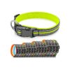 Reflective Dog Collar for Small, Medium, Large and X-Large Breeds with Adjustable Size