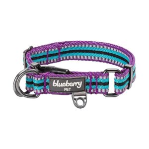 Reflective Dog Collar with Adjustable Strap and Customizable Options for Large Dogs