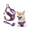 Reflective Dog Harness Leash Set with Adjustable Chest Strap for Small Medium Dogs