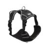 Reflective Dog Harness with Air-Mesh Comfort and Adjustable Fit for Small Dogs