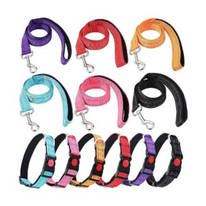 Reflective Dog Leash and Collar Set for Small Medium Large Dogs Walking Training