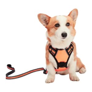 Reflective Dog Leash and Harness Set for Small Dogs with Adjustable Padded Oxford Vest