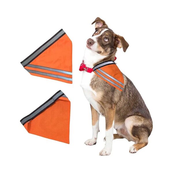 Reflective Dog Safety Scarf with Velcro Closure for Day and Night Visibility