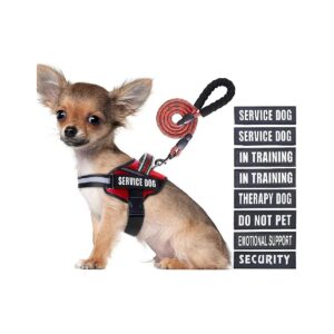 Reflective Dog Training Harness with 10 interchangeable Patches