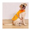 Reflective Dog Vest for Walking, Jogging, and Training Large Dogs