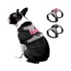 Reflective Elements, and Soft Padding for Small Pet Yorkie Chihuahua Puppy Female