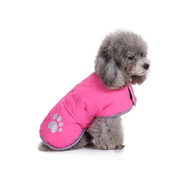 Reflective Fashionable Dog Jacket with Padded Cotton for Autumn and Winter Wear