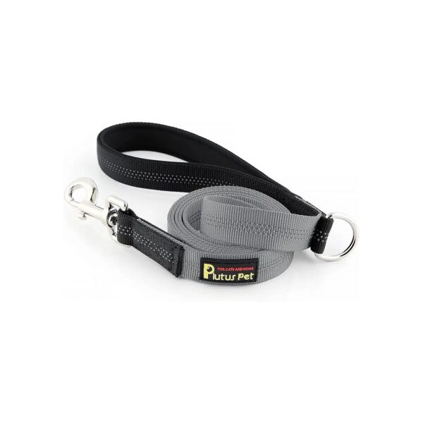 Reflective Gray Nylon Dog Leash with Soft Padded Handle for Medium and Large Breed Dogs