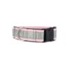 Reflective Martingale Collar for Dogs with Adjustable Fit and Comfortable Wear