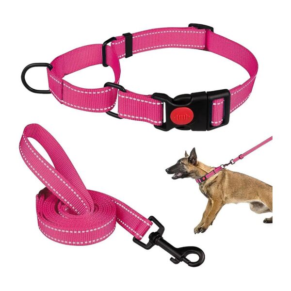 Reflective Martingale Dog Collar and Leash Set for Small Medium Large Dogs