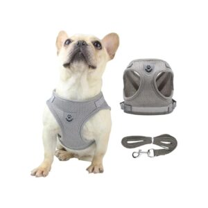 Reflective Mesh Dog Vest Harness for Small to Large Pets with XL Size Option