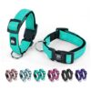 Reflective Nylon Adjustable Dog Collar with Soft Neoprene for Small Medium Large Dogs