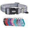 Reflective Nylon Dog Collar with Breathable Neoprene Padding for Small Dogs Grey