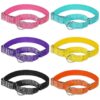 Reflective Nylon Dog Collars with Metal Buckle and Neoprene Lining