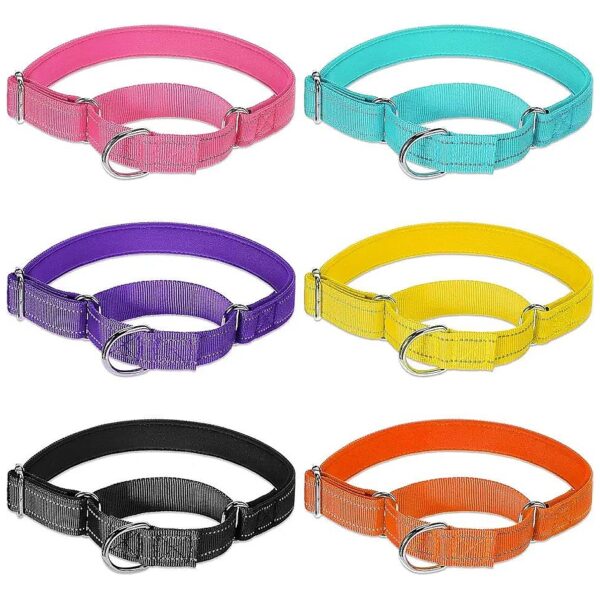 Reflective Nylon Dog Collars with Metal Buckle and Neoprene Lining