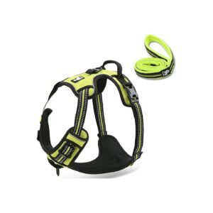 Reflective Nylon Dog Harness and Leash Set with Adjustable Straps