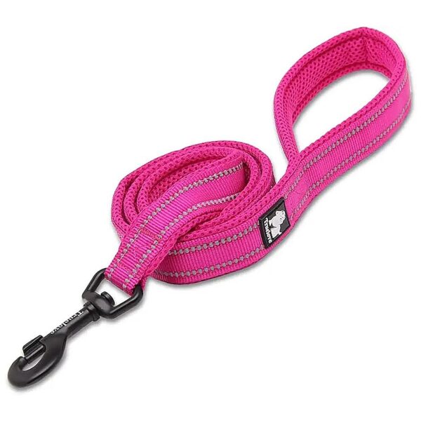 Reflective Nylon Dog Walking Lead with Chief Knot and Adjustable Length for Comfort