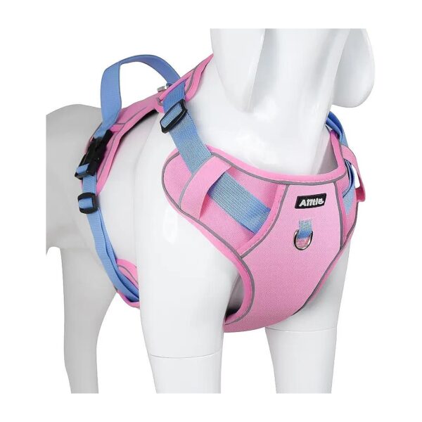 Reflective Outdoor Dog Vest Harness with Adjustable Straps and Buckles