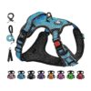 Reflective Oxford Dog Vest Harness with Adjustable Straps for Small Dogs