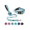 Reflective Pet Collar and Leash