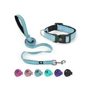 Reflective Pet Collar and Leash