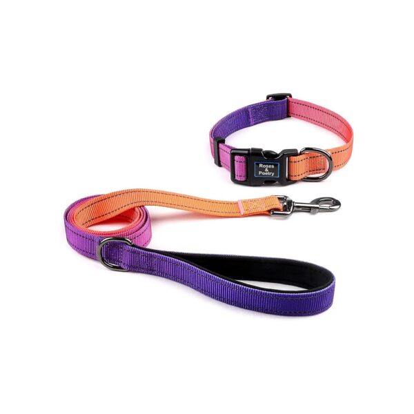 Reflective Purple Collar and Leash Set for Large Dogs Adjustable Sturdy Durable Material