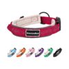 Reflective Red Nylon Dog Collar with Neoprene Padded Protection and Adjustable Closure