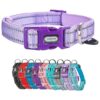 Reflective Soft Nylon Dog Collar with Adjustable Size for Small Medium Large Breed Dogs