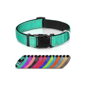 Reflective Teal Nylon Dog Collar with Adjustable Size for Large Dogs