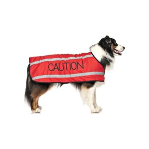 Reflective Waterproof Dog Coats Prevent Accidents Public Safety Fleece Lined