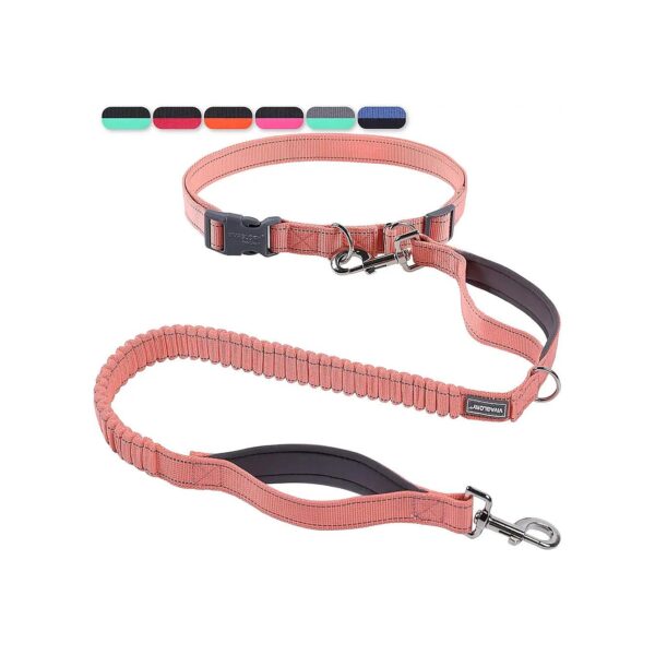 Reflective and Adjustable Hands-Free Dog Leash for Walking and Running