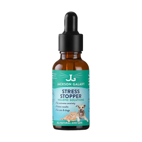 Reiki Energy Infused Pet Solution for Holistic Stress Relief