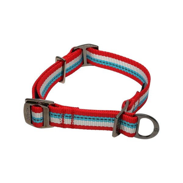 Reinforced Martingale Collar for Medium to Large Dogs, Adjustable Sizing, Reflective Trim