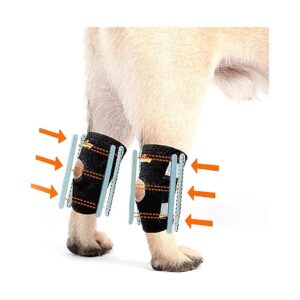 Reliable 3-in-1 Dog Leg Braces for Rear Leg Support with Rigid and Spring Inserts