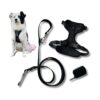 Reliable Dog Walking Set with Soft Rubber Harness Leash and Poop Bag Carrier Black Medium