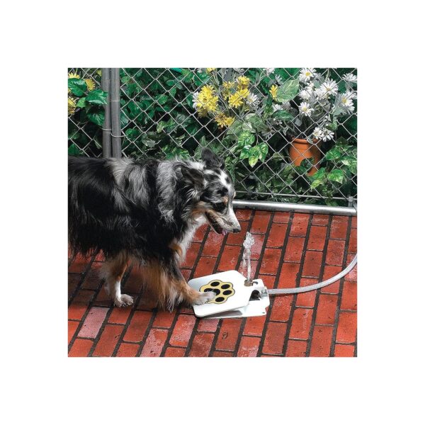 Reliable and Durable Dog Water Fountain with Leak-Proof Valve and Rubber Friction Pads