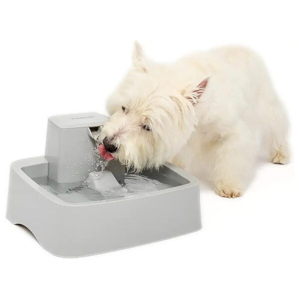 Reliable and Easy to Clean Automatic Water Bowl for Cats and Small Dogs