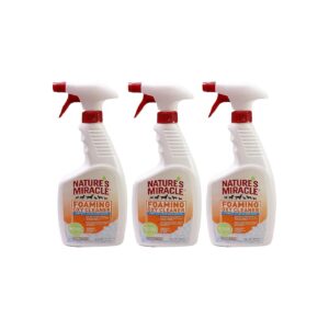 Remove Tough Stains and Odor with Oxygenated Foam Cleaner Orange Scent