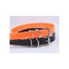 Replacement Dog Collar Straps with Double Buckle Loops for All Training Collars